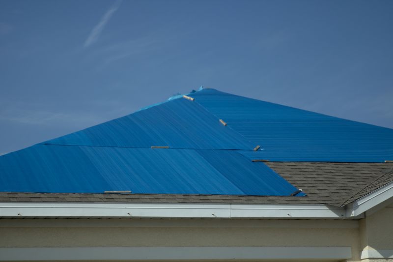 Roof Tarping Services
