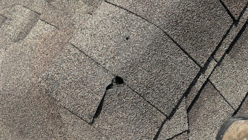 Asphalt Shingle Roof Repair