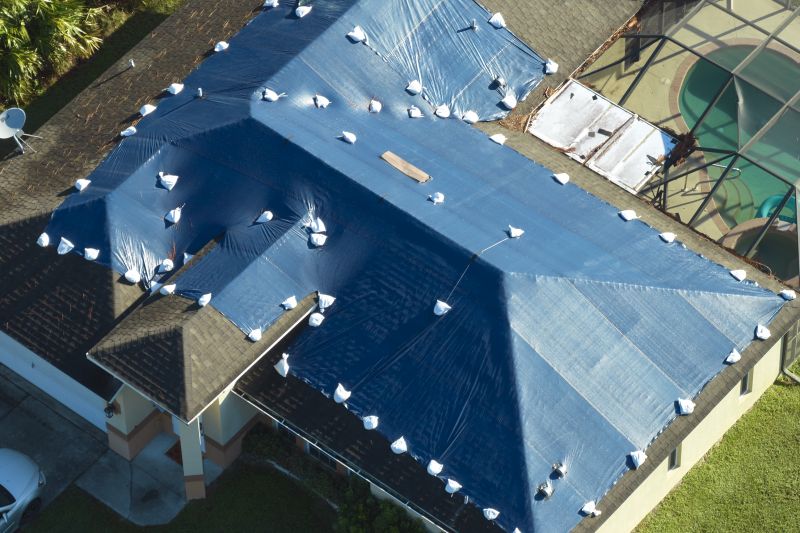 Completed Tarped Roof