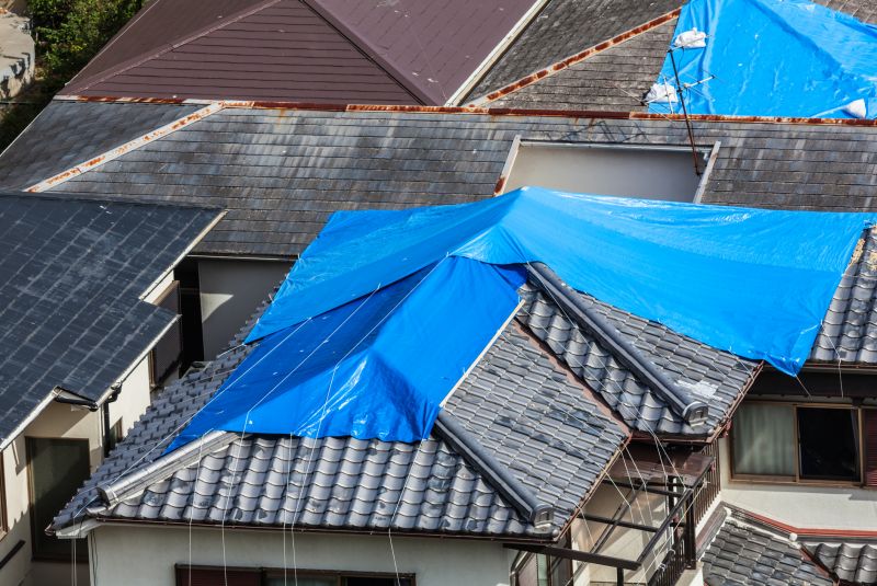 Roof Tarping Services